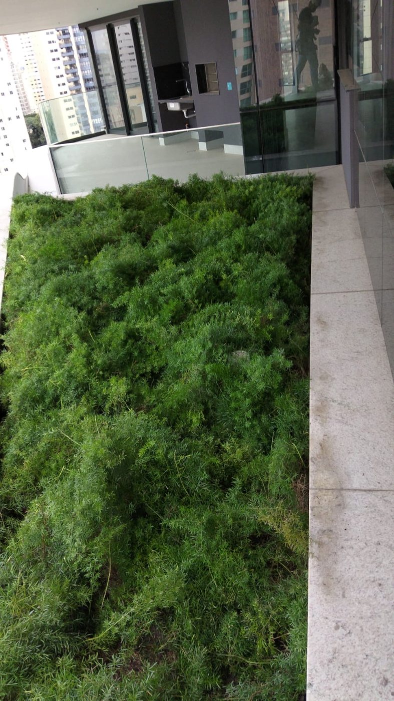 Floreira suspensa em sacada com folhagens densas após manutenção