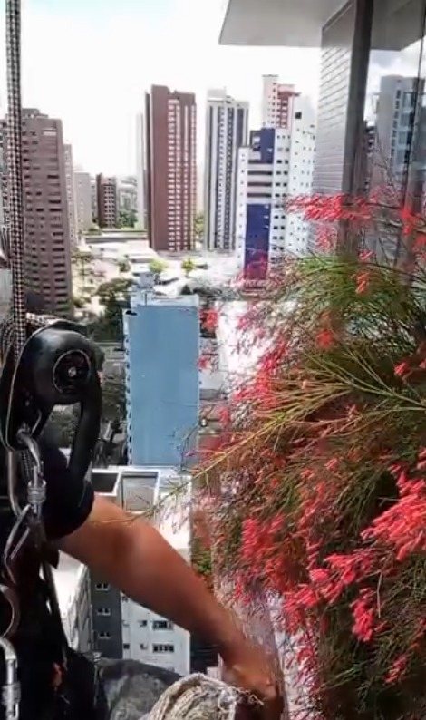 Profissional em rapel fazendo manutenção de floreira com flores vermelhas em altura